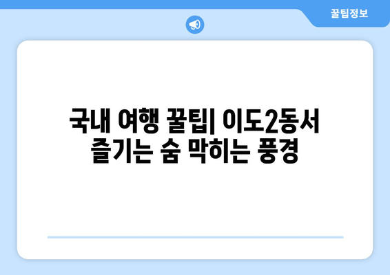 국내 여행 꿀팁| 이도2동서 즐기는 숨 막히는 풍경