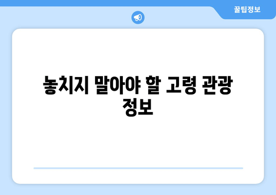 놓치지 말아야 할 고령 관광 정보