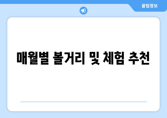 매월별 볼거리 및 체험 추천