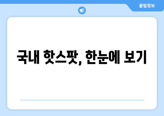 국내 핫스팟, 한눈에 보기