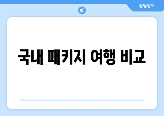 국내 패키지 여행 비교