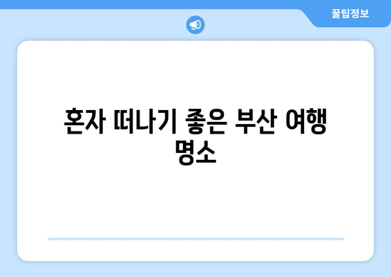 혼자 떠나기 좋은 부산 여행 명소