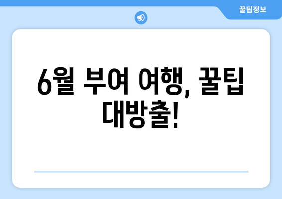 6월 부여 여행, 꿀팁 대방출!