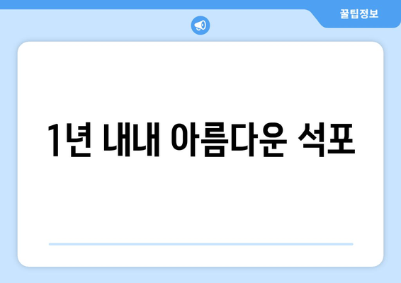 1년 내내 아름다운 석포