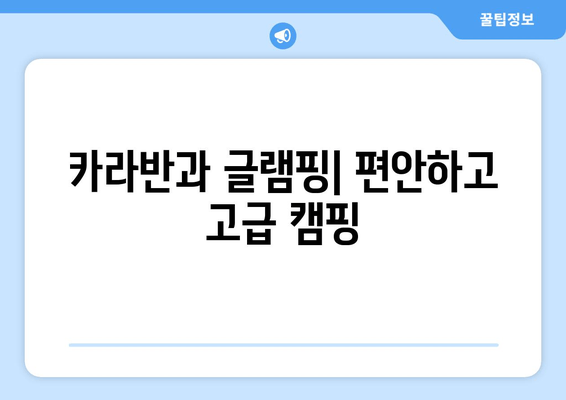 카라반과 글램핑| 편안하고 고급 캠핑