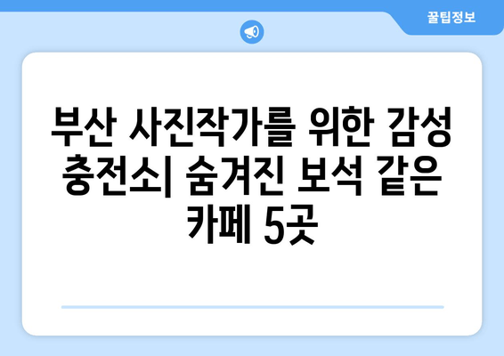 부산 사진작가를 위한 숨겨진 보석 같은 카페 5곳 | 감성 사진 명소, 분위기 좋은 카페, 스튜디오 대여