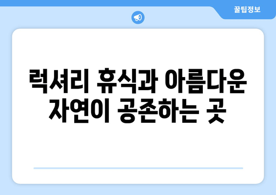 제주도 낭만 가득한 해변 휴양, 아모렉스 리조트에서 펼쳐지는 특별한 시간 | 제주도 여행, 럭셔리 리조트, 해변 휴식