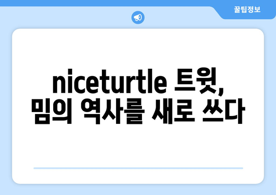 niceturtle 트위터의 유산| 트윗이 남긴 영향 | 밈, 커뮤니티, 그리고 변화