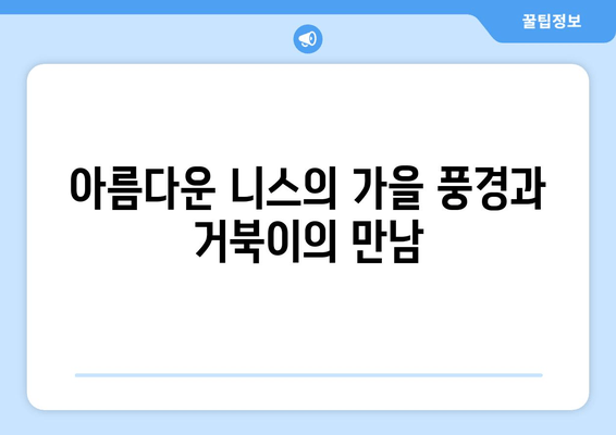 트위터에서 만난 니스 거북이의 가을 이야기| 잊을 수 없는 추억 만들기 | 니스, 거북이, 가을 여행, 트위터, 추억