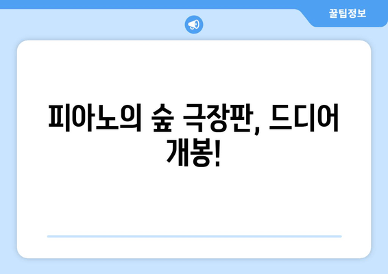 "피아노의 숲" 극장판, 애타게 기다리는 당신을 위한 모든 것 | 개봉일, 예매 정보, 감상 포인트