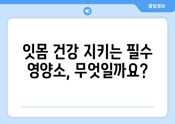 잇몸 염증 완화에 도움되는 영양제 추천 | 잇몸 건강, 염증, 영양, 건강 정보