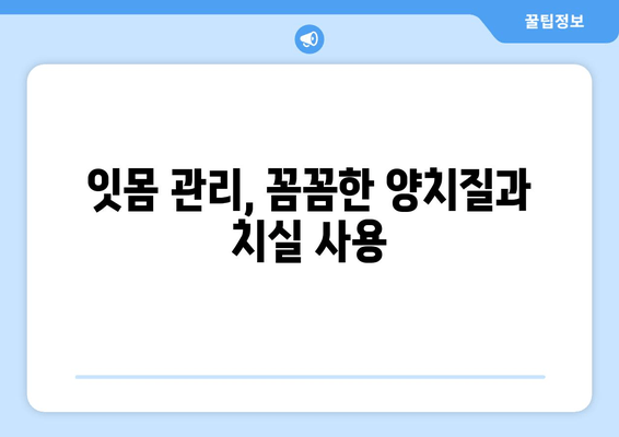 홈 케어로 치은 증식 관리하기| 잇몸 건강 개선을 위한 실질적인 팁 | 치은 증식, 잇몸 관리, 홈 케어, 치주 질환 예방