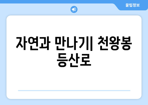 자연과 만나기| 천왕봉 등산로