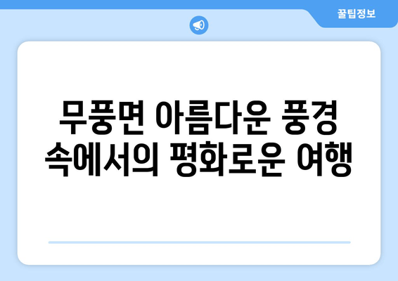 무풍면 아름다운 풍경 속에서의 평화로운 여행