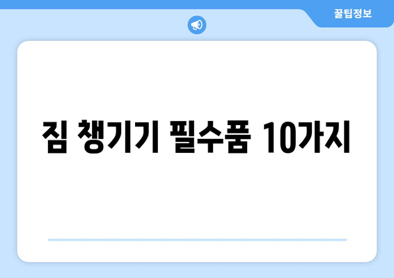 짐 챙기기 필수품 10가지