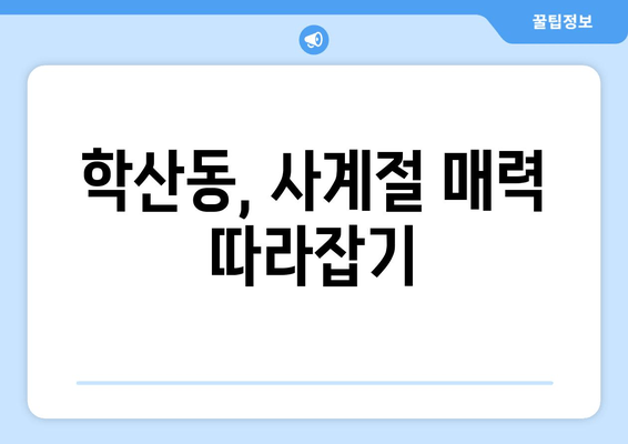 학산동, 사계절 매력 따라잡기