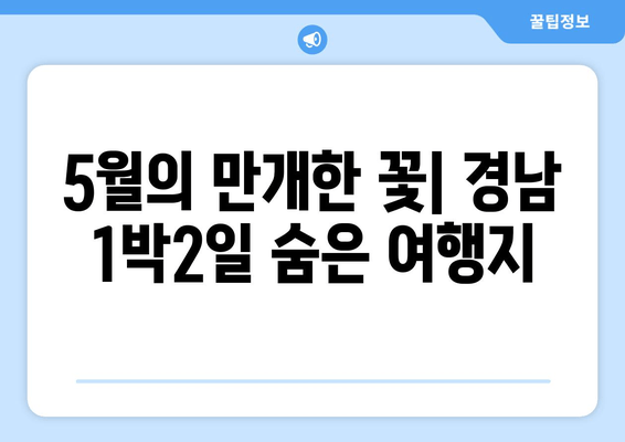 5월의 만개한 꽃| 경남 1박2일 숨은 여행지