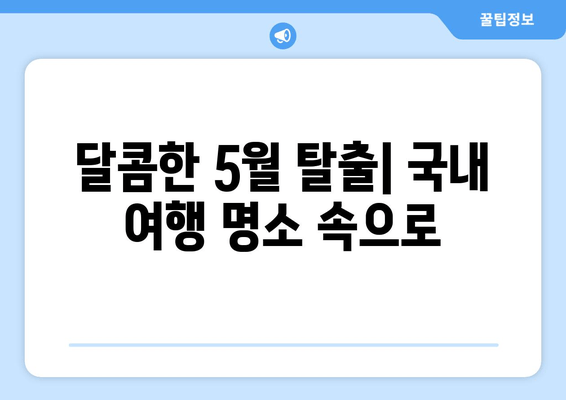 달콤한 5월 탈출| 국내 여행 명소 속으로