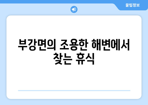 부강면의 조용한 해변에서 찾는 휴식