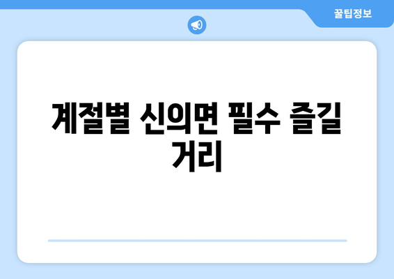 계절별 신의면 필수 즐길 거리