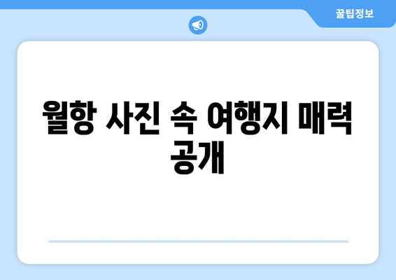 월항 사진 속 여행지 매력 공개