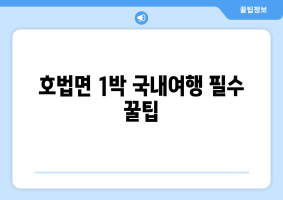 호법면 1박 국내여행 필수 꿀팁