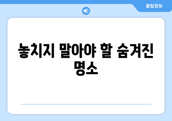 놓치지 말아야 할 숨겨진 명소