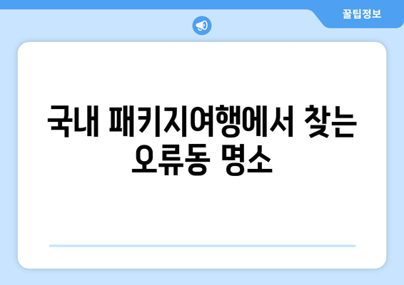 국내 패키지여행에서 찾는 오류동 명소