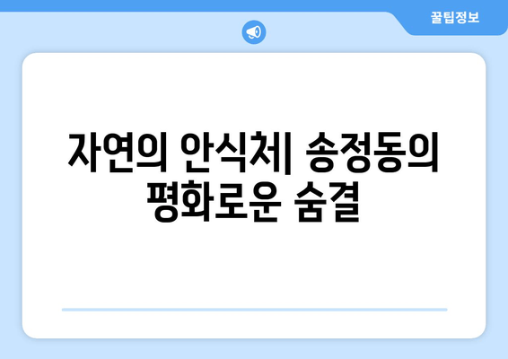 자연의 안식처| 송정동의 평화로운 숨결