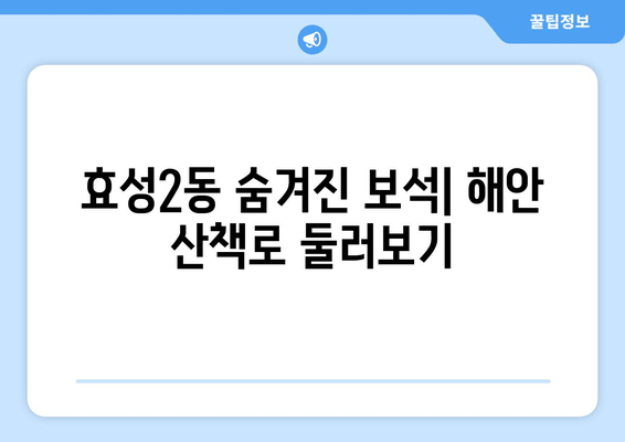 효성2동 숨겨진 보석| 해안 산책로 둘러보기