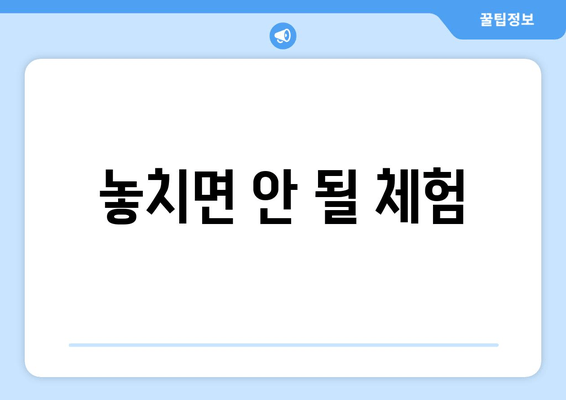 놓치면 안 될 체험