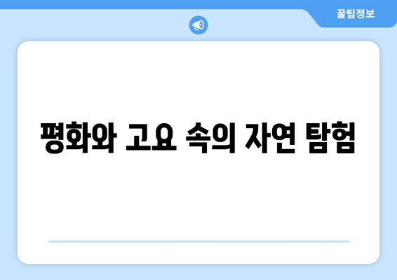 평화와 고요 속의 자연 탐험