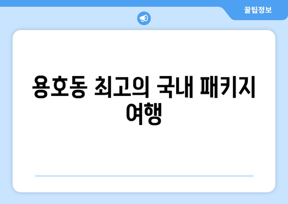 용호동 최고의 국내 패키지 여행