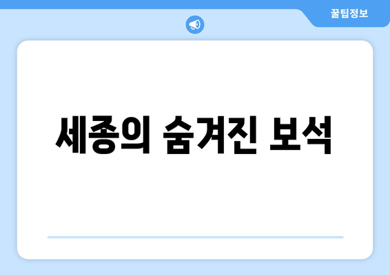 세종의 숨겨진 보석