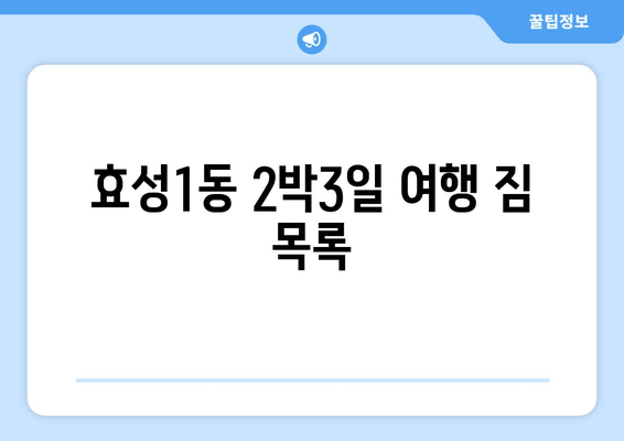 효성1동 2박3일 여행 짐 목록