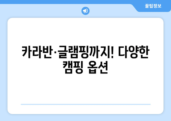 카라반·글램핑까지! 다양한 캠핑 옵션