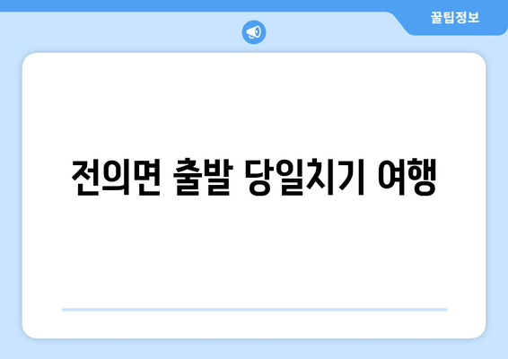 전의면 출발 당일치기 여행