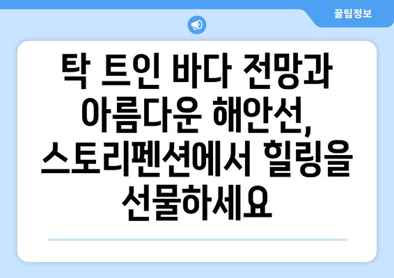 통영 해안선 감동, 스토리펜션에서 펼쳐지는 특별한 추억 | 통영 펜션, 감성 숙소, 바다 전망, 커플 여행, 가족 여행