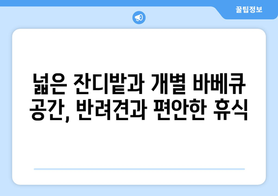 대부도 애견동반 펜션 추천| 스테이독 펜션에서 반려견과 행복한 여행 | 대부도, 애견동반, 숙소, 펜션, 추천