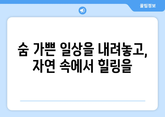 여수 웨스트힐스에서 찾는 평화로운 휴식| 힐링 명소 & 추천 코스 | 여수, 웨스트힐스, 힐링, 휴식, 여행, 명소, 코스