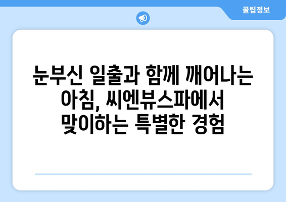 통영 씨엔뷰스파에서 즐기는 탁 트인 바다 전망 | 통영 여행, 숙소 추천, 뷰 맛집