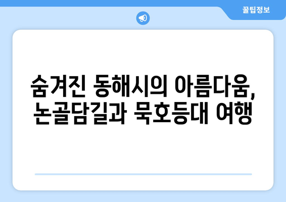 동해시 여행 필수 코스| 논골담길과 묵호등대, 숨겨진 매력을 찾아 떠나요! | 동해 가볼만한곳, 동해 여행, 논골담길, 묵호등대