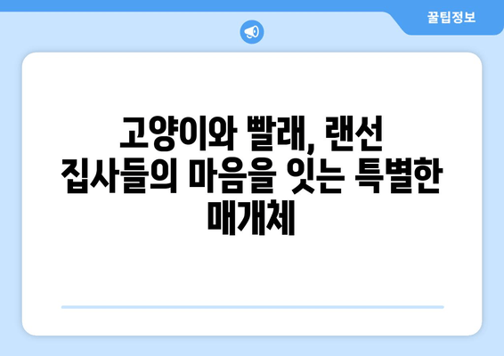 고양이와 빨래, 트위터에서 피어난 따뜻한 우정 | 랜선 집사들의 훈훈한 이야기