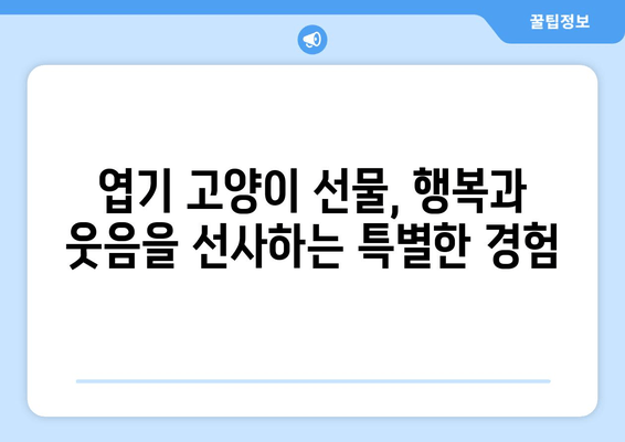 엽기 고양이 선물, 웃음 폭탄! 생일 선물로 받은 엽기 고양이의 기상천외한 행동 모음 | 고양이, 애완동물, 유머, 생일 선물