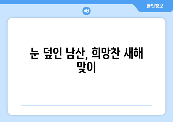 남산 새해 첫눈, 희망과 낭만을 담다 | 서울, 설경, 겨울 여행, 추억