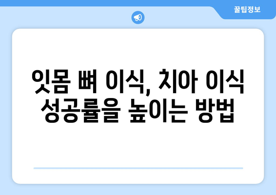 잇몸 뼈 이식 수술| 성공적인 치아 이식을 위한 방법과 과정 | 잇몸뼈 이식, 치아 이식, 임플란트, 잇몸 수술