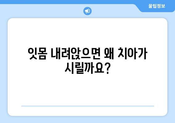 잇몸 내려앉음, 시림 증상의 원인과 해결책| 꼼꼼히 알아보기 | 치주 질환, 치아 민감증, 잇몸 관리