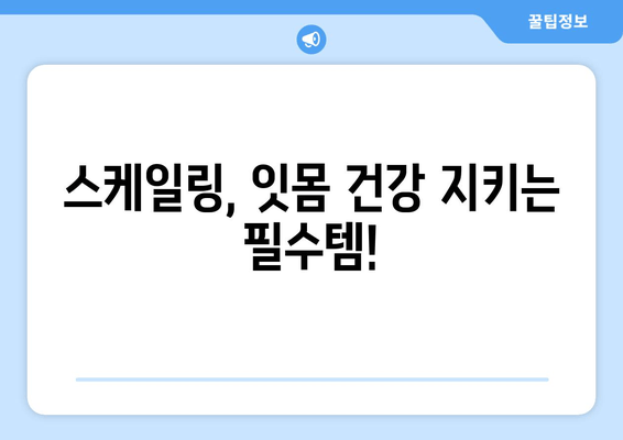 잇몸 건강 지키는 필수템! 스케일링의 중요성 | 인천 서울365치과, 잇몸 치료, 치주 질환 예방