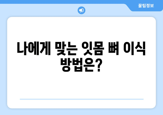 잇몸 뼈 이식| 비용, 수술 절차, 그리고 당신에게 맞는 선택 | 잇몸뼈 이식, 임플란트, 치과, 치료