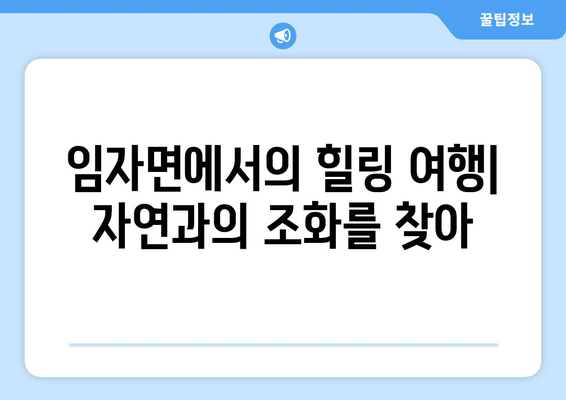 임자면에서의 힐링 여행| 자연과의 조화를 찾아